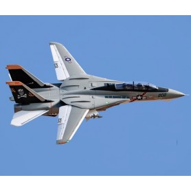 Freewing F-14 Twin 64mm EDF Jet